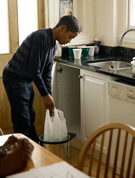 Debris Removal in Garland, UT